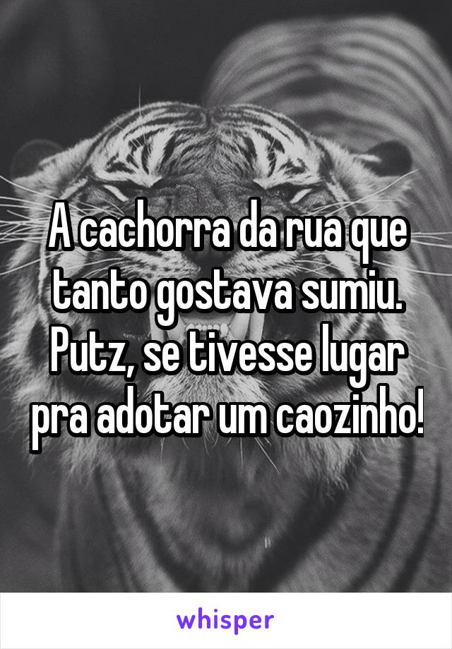 A cachorra da rua que tanto gostava sumiu. Putz, se tivesse lugar pra adotar um caozinho!