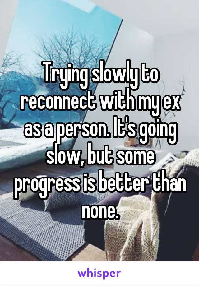 Trying slowly to reconnect with my ex as a person. It's going slow, but some progress is better than none.