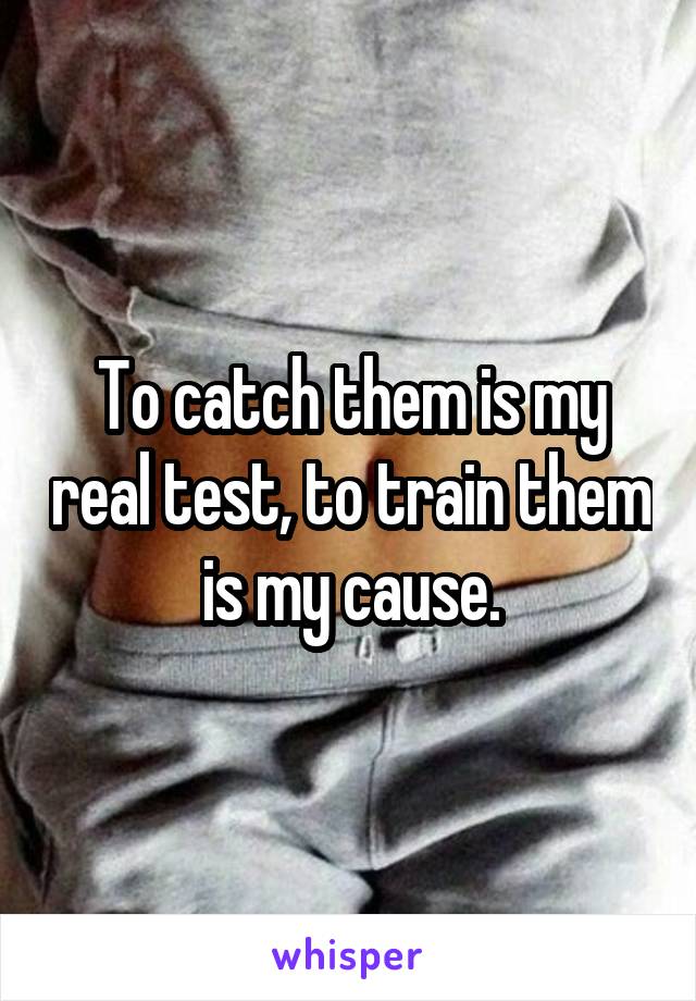 To catch them is my real test, to train them is my cause.