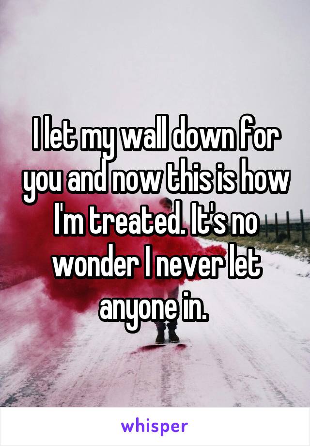 I let my wall down for you and now this is how I'm treated. It's no wonder I never let anyone in. 