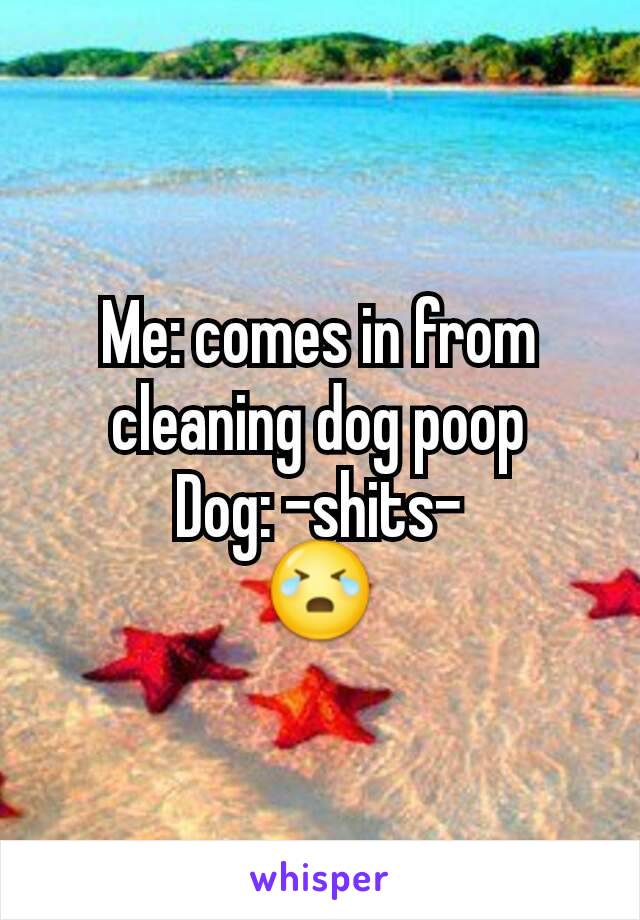 Me: comes in from cleaning dog poop
Dog: -shits-
😭