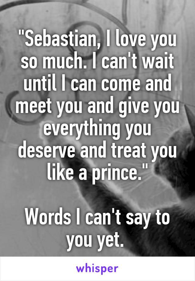 "Sebastian, I love you so much. I can't wait until I can come and meet you and give you everything you deserve and treat you like a prince."

Words I can't say to you yet. 