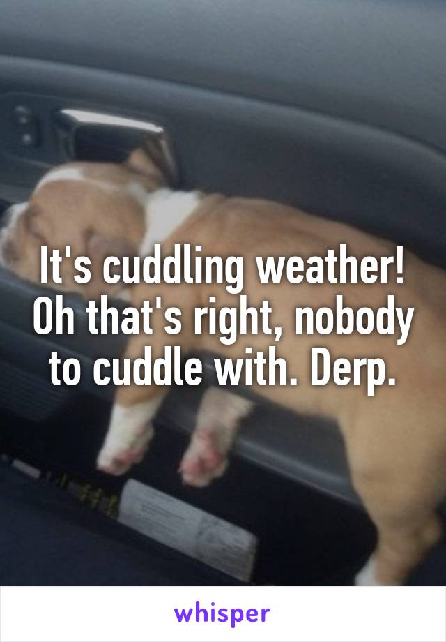 It's cuddling weather! Oh that's right, nobody to cuddle with. Derp.