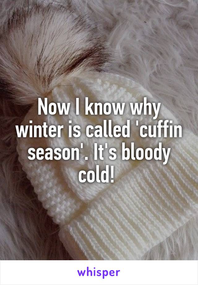 Now I know why winter is called 'cuffin season'. It's bloody cold! 