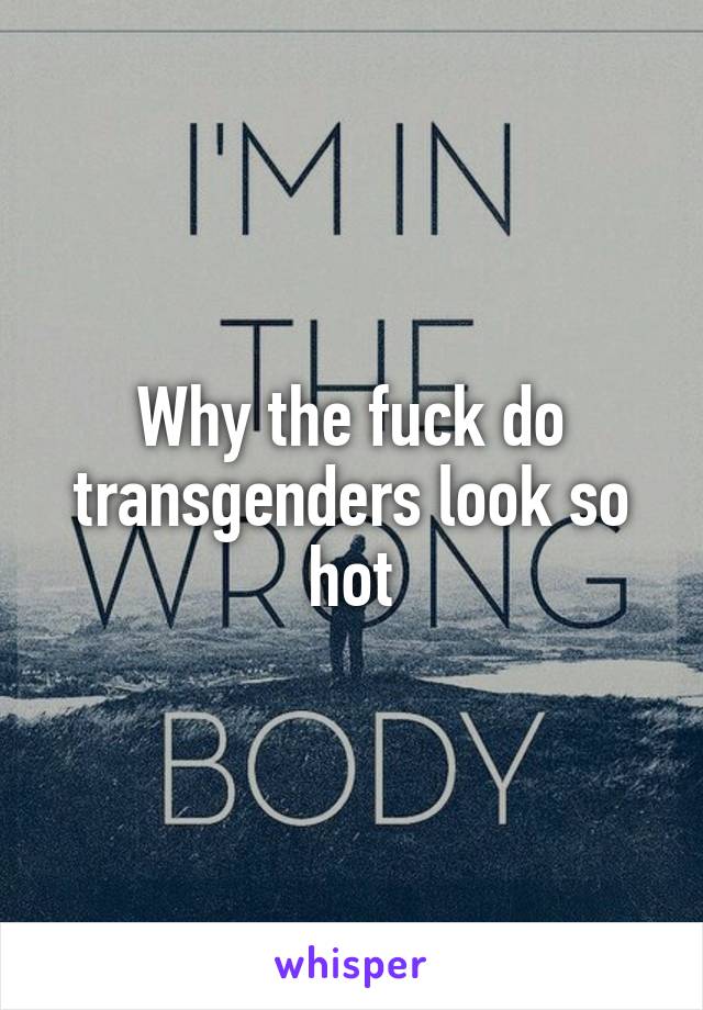 Why the fuck do transgenders look so hot