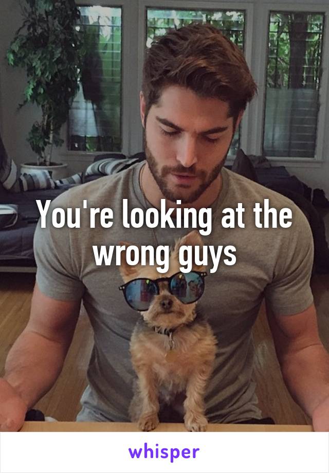 You're looking at the wrong guys