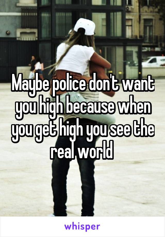 Maybe police don't want you high because when you get high you see the real world 