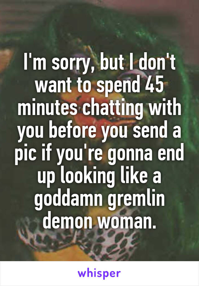 I'm sorry, but I don't want to spend 45 minutes chatting with you before you send a pic if you're gonna end up looking like a goddamn gremlin demon woman.