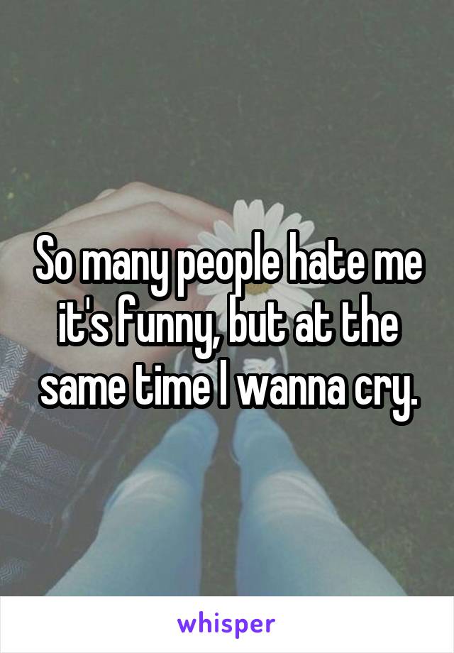 So many people hate me it's funny, but at the same time I wanna cry.