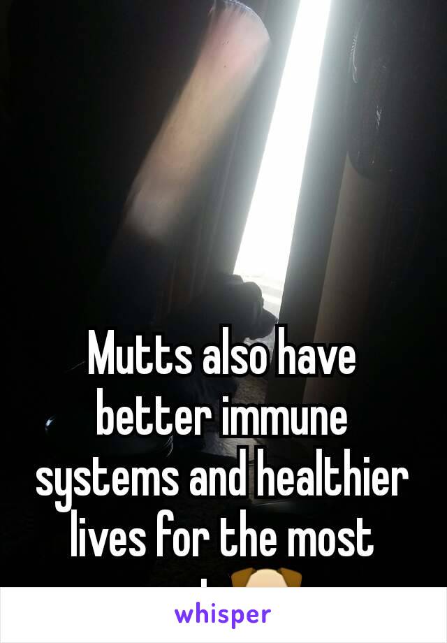 Mutts also have better immune systems and healthier lives for the most part 🐶