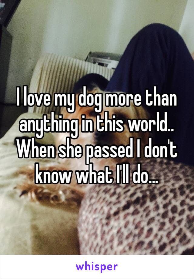 I love my dog more than anything in this world.. When she passed I don't know what I'll do... 