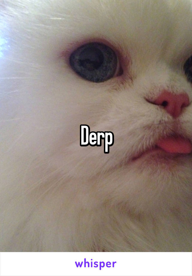 Derp