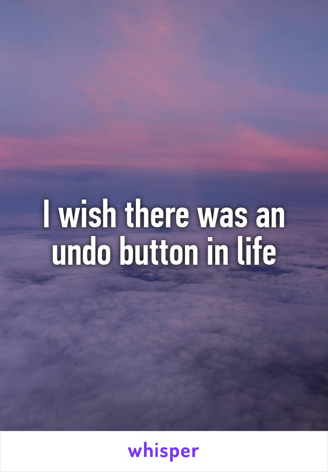 I wish there was an undo button in life