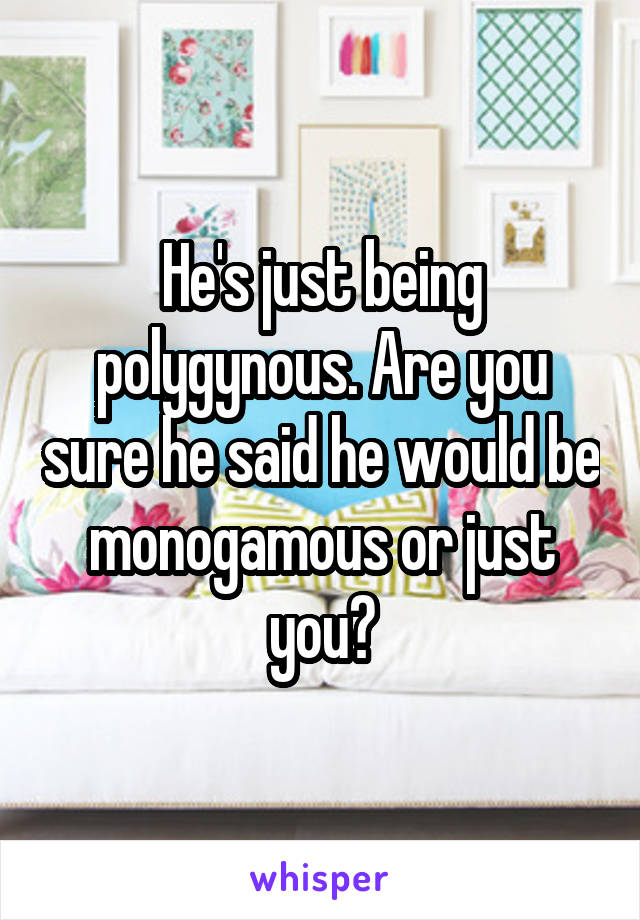 He's just being polygynous. Are you sure he said he would be monogamous or just you?