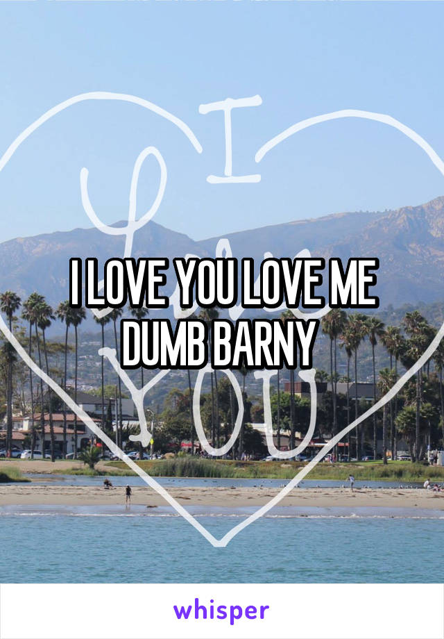 I LOVE YOU LOVE ME DUMB BARNY 