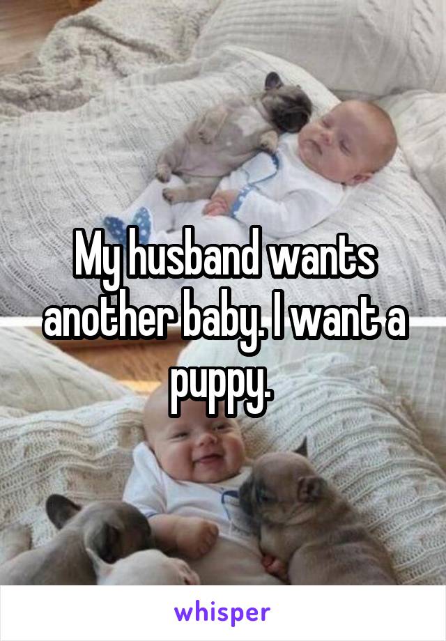 My husband wants another baby. I want a puppy. 