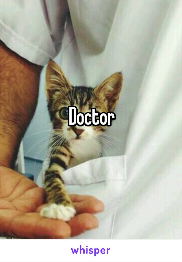 Doctor
