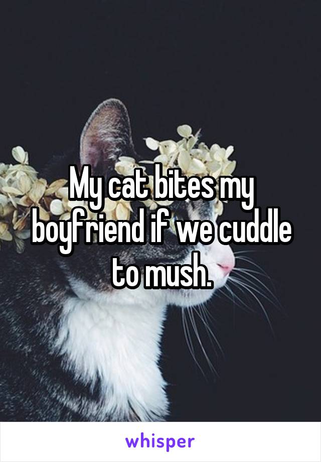 My cat bites my boyfriend if we cuddle to mush.