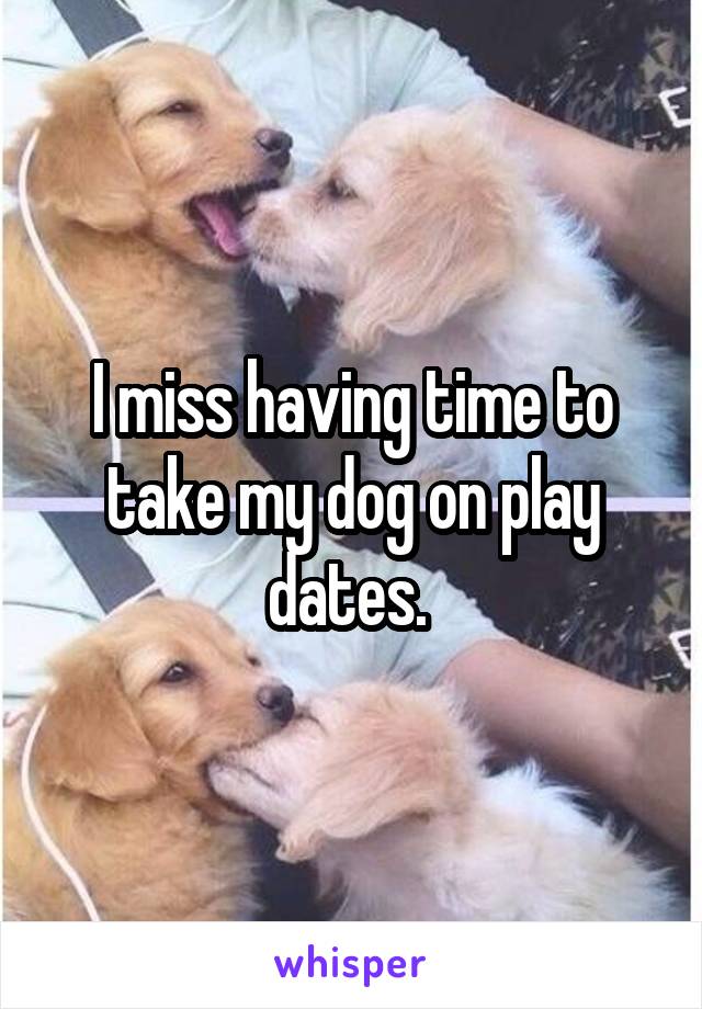 I miss having time to take my dog on play dates. 