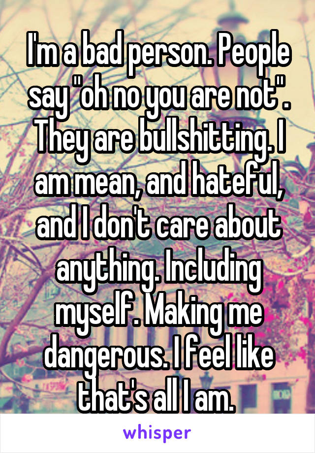 I'm a bad person. People say "oh no you are not". They are bullshitting. I am mean, and hateful, and I don't care about anything. Including myself. Making me dangerous. I feel like that's all I am. 