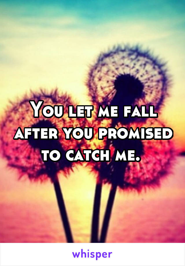 You let me fall after you promised to catch me. 