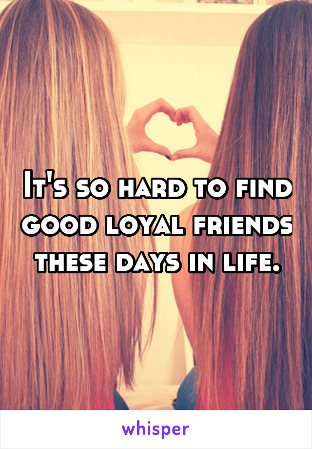 It's so hard to find good loyal friends these days in life.