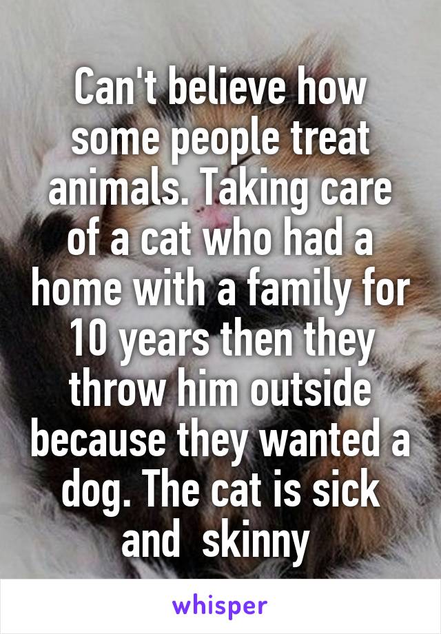 Can't believe how some people treat animals. Taking care of a cat who had a home with a family for 10 years then they throw him outside because they wanted a dog. The cat is sick and  skinny 