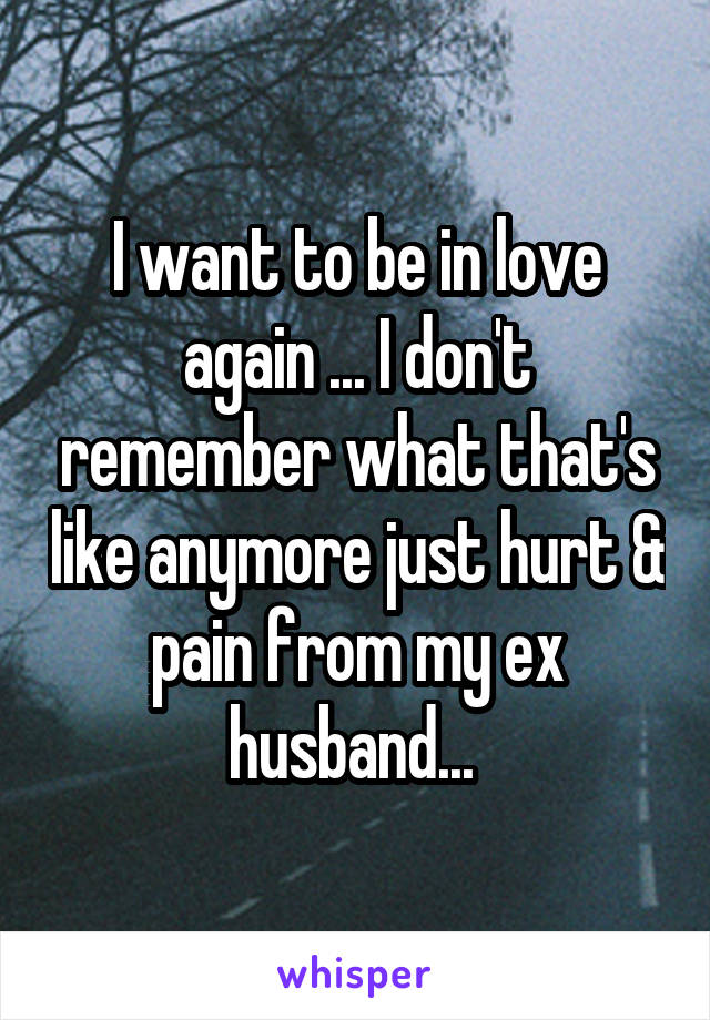 I want to be in love again ... I don't remember what that's like anymore just hurt & pain from my ex husband... 