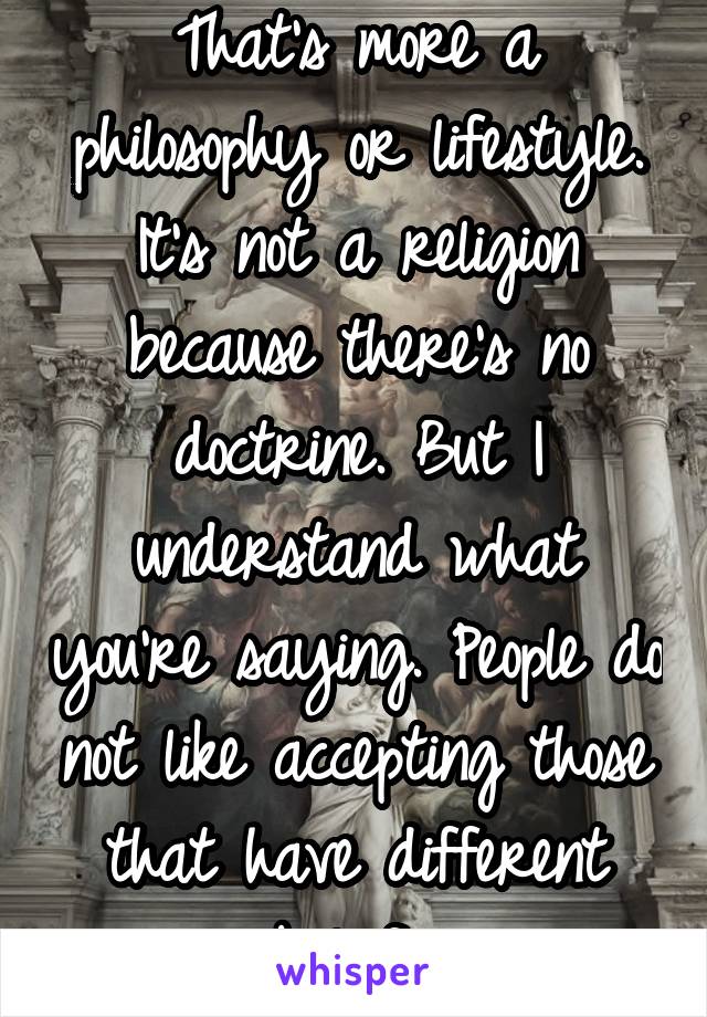 That's more a philosophy or lifestyle. It's not a religion because there's no doctrine. But I understand what you're saying. People do not like accepting those that have different beliefs.