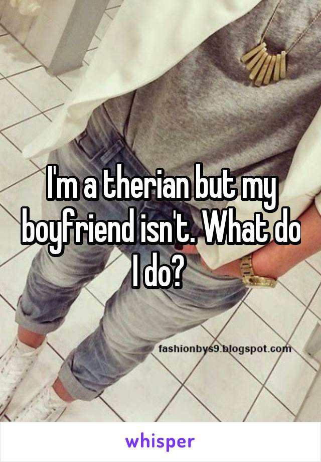 I'm a therian but my boyfriend isn't. What do I do? 