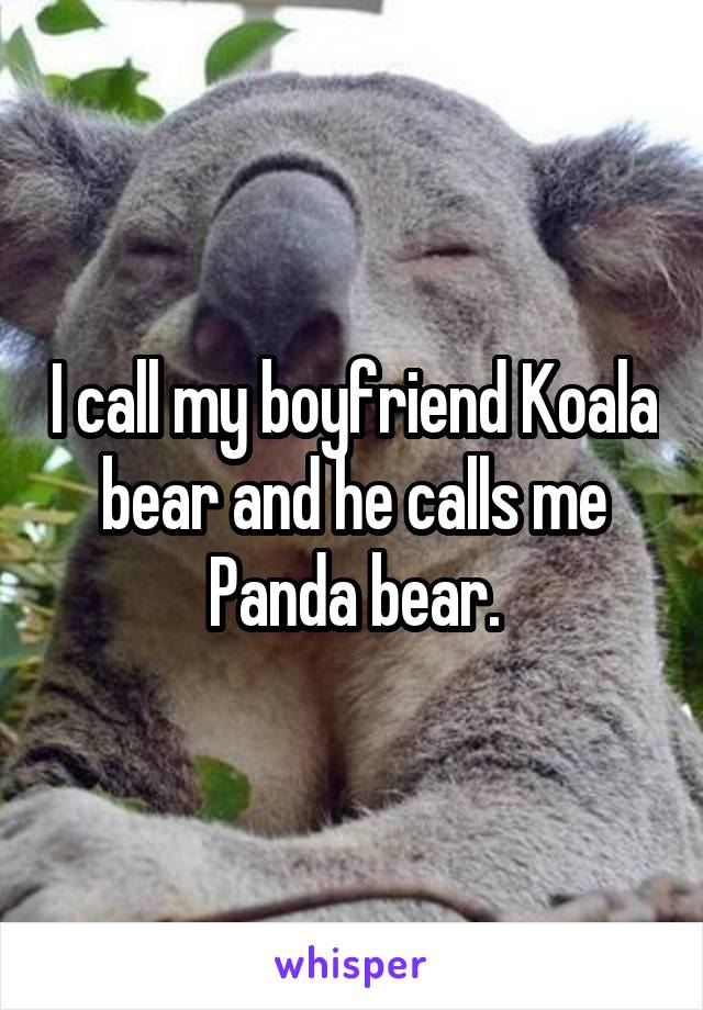 I call my boyfriend Koala bear and he calls me Panda bear.