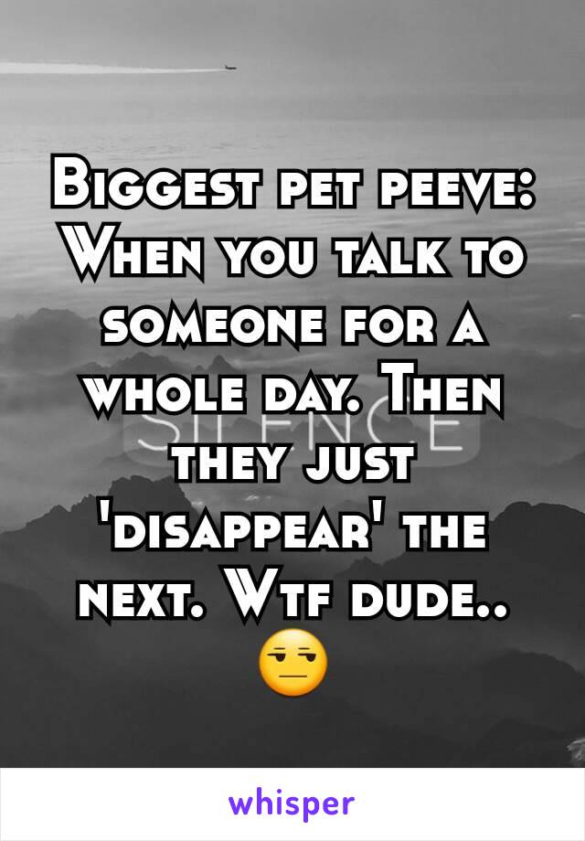 Biggest pet peeve: When you talk to someone for a whole day. Then they just 'disappear' the next. Wtf dude.. 😒