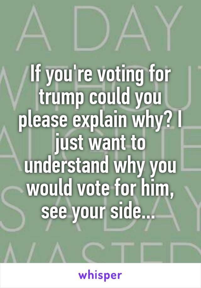 If you're voting for trump could you please explain why? I just want to understand why you would vote for him, see your side... 