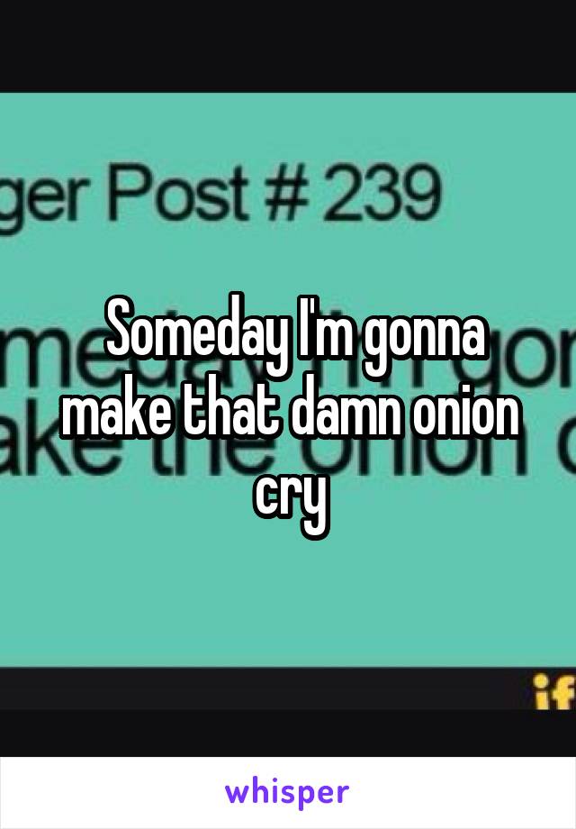  Someday I'm gonna make that damn onion cry