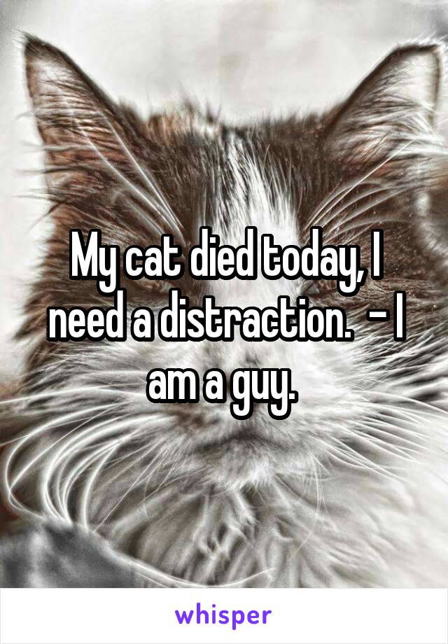 My cat died today, I need a distraction.  - I am a guy. 