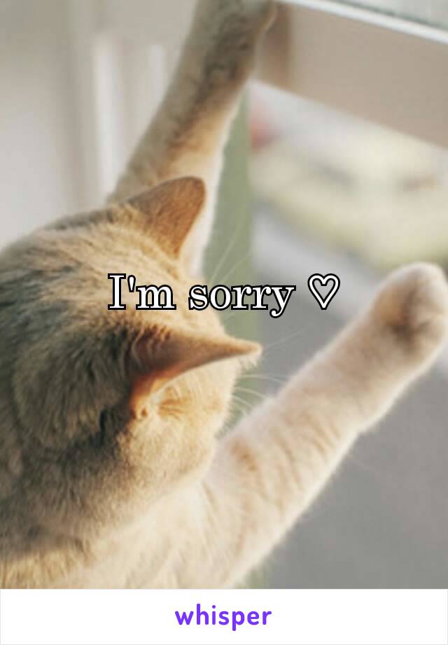 I'm sorry ♡