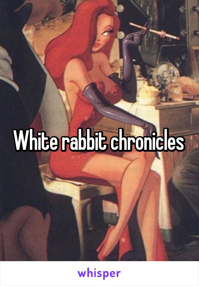 White rabbit chronicles 