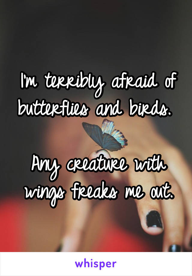 I'm terribly afraid of butterflies and birds. 

Any creature with wings freaks me out.