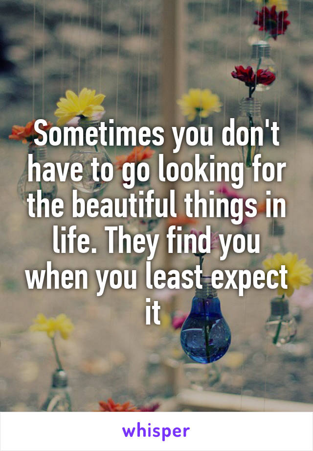 Sometimes you don't have to go looking for the beautiful things in life. They find you when you least expect it 