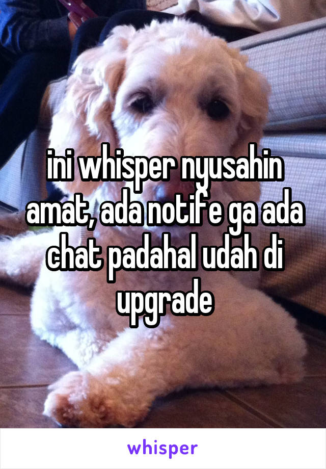 ini whisper nyusahin amat, ada notife ga ada chat padahal udah di upgrade