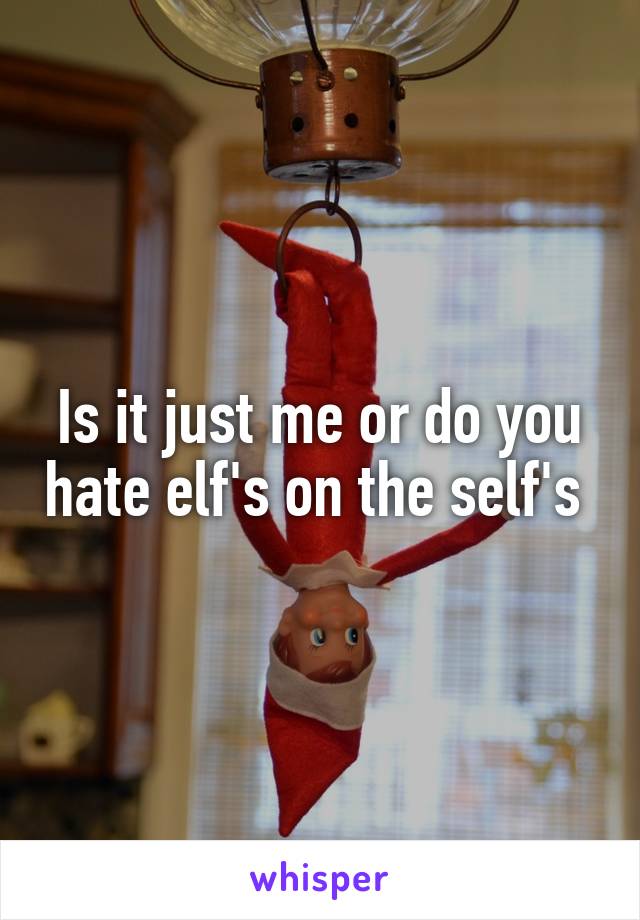 Is it just me or do you hate elf's on the self's 