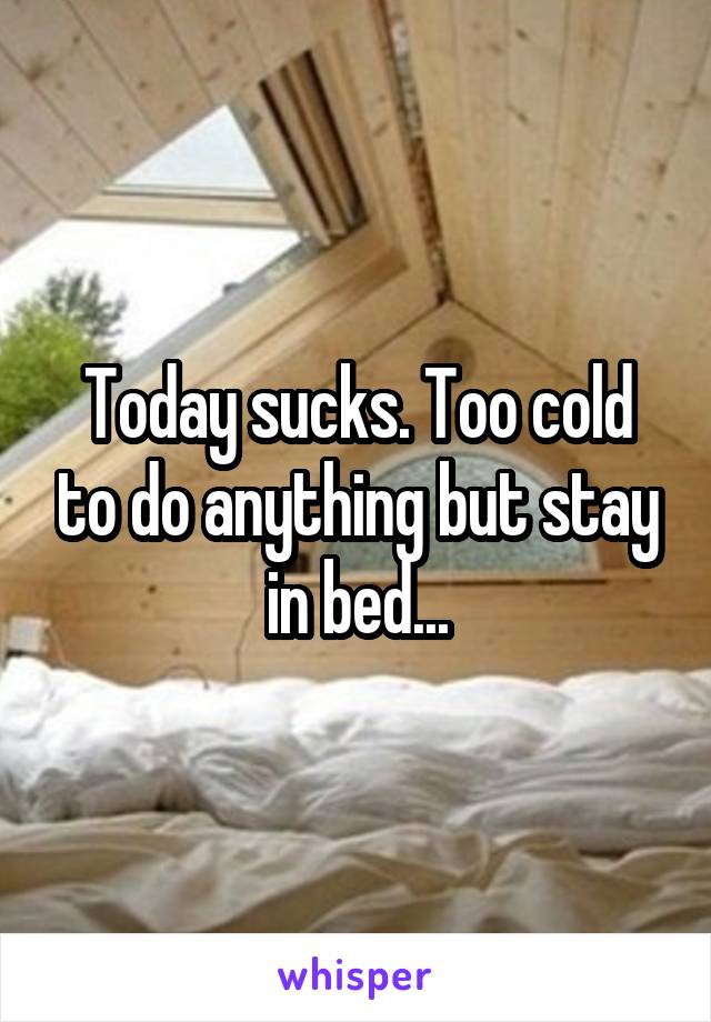 Today sucks. Too cold to do anything but stay in bed...