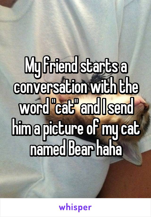 My friend starts a conversation with the word "cat" and I send him a picture of my cat named Bear haha