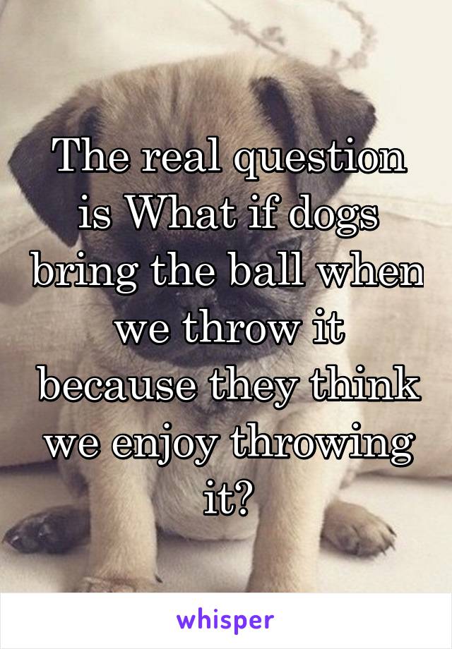 The real question is What if dogs bring the ball when we throw it because they think we enjoy throwing it?