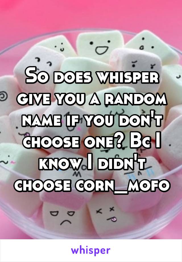 So does whisper give you a random name if you don't choose one? Bc I know I didn't choose corn_mofo