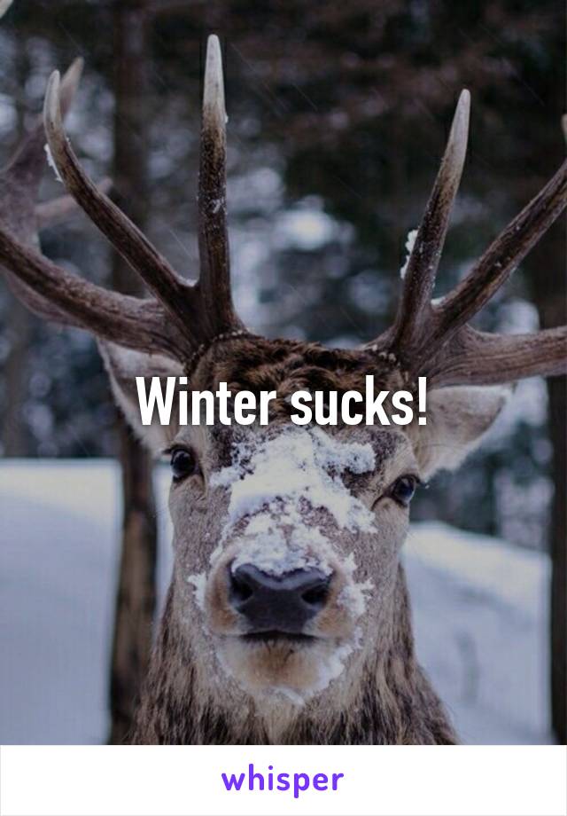 Winter sucks!