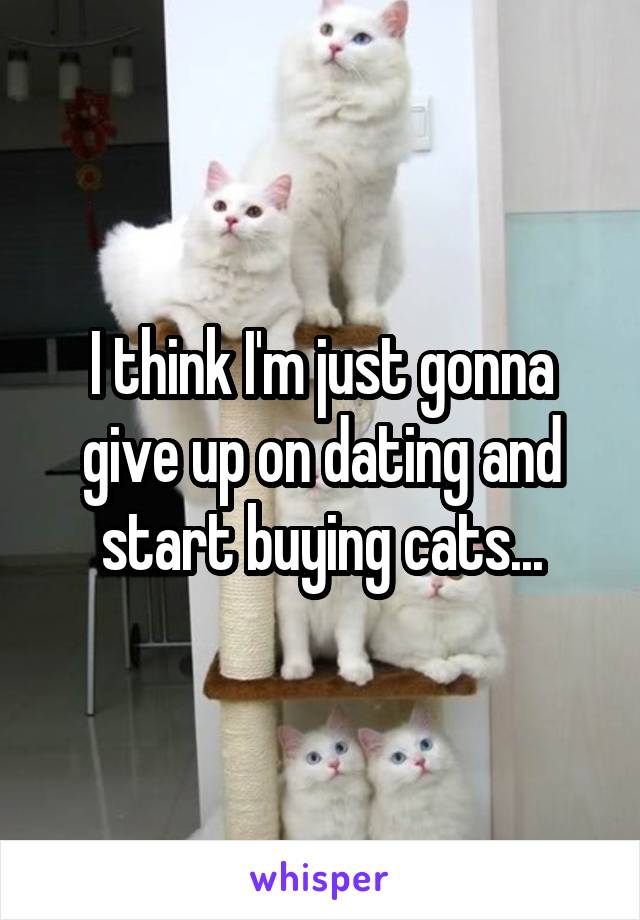 I think I'm just gonna give up on dating and start buying cats...