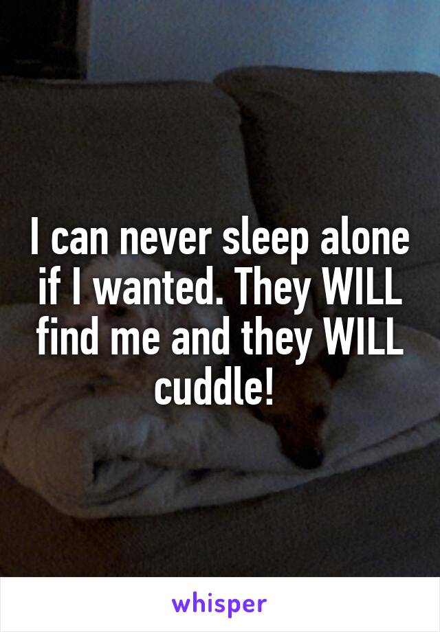 I can never sleep alone if I wanted. They WILL find me and they WILL cuddle! 