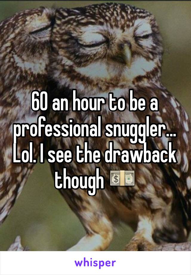 60 an hour to be a professional snuggler... Lol. I see the drawback though 💵