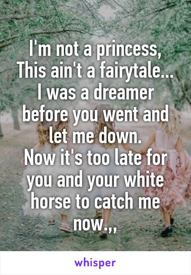 I'm not a princess,
This ain't a fairytale...
I was a dreamer before you went and let me down.
Now it's too late for you and your white horse to catch me now.,,